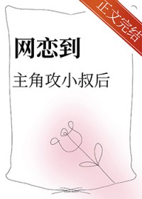 攻受是网恋的小说